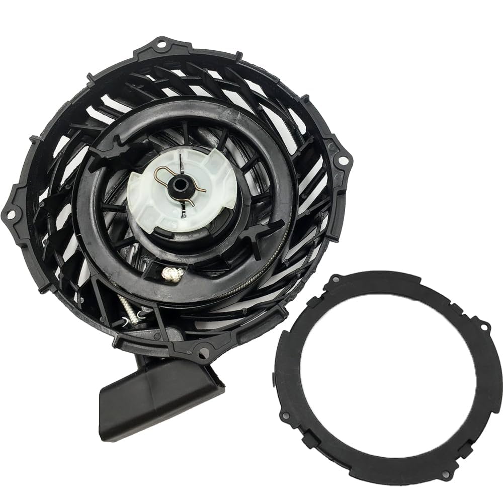 Amazon.com: LIZAPUS Recoil Rewind Pull Starter kit Assembly